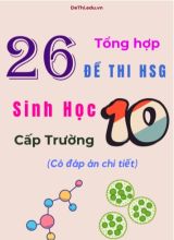 Tổng hợp 26 đề thi HSG Sinh học Lớp 10 cấp Trường (Có đáp án chi tiết)